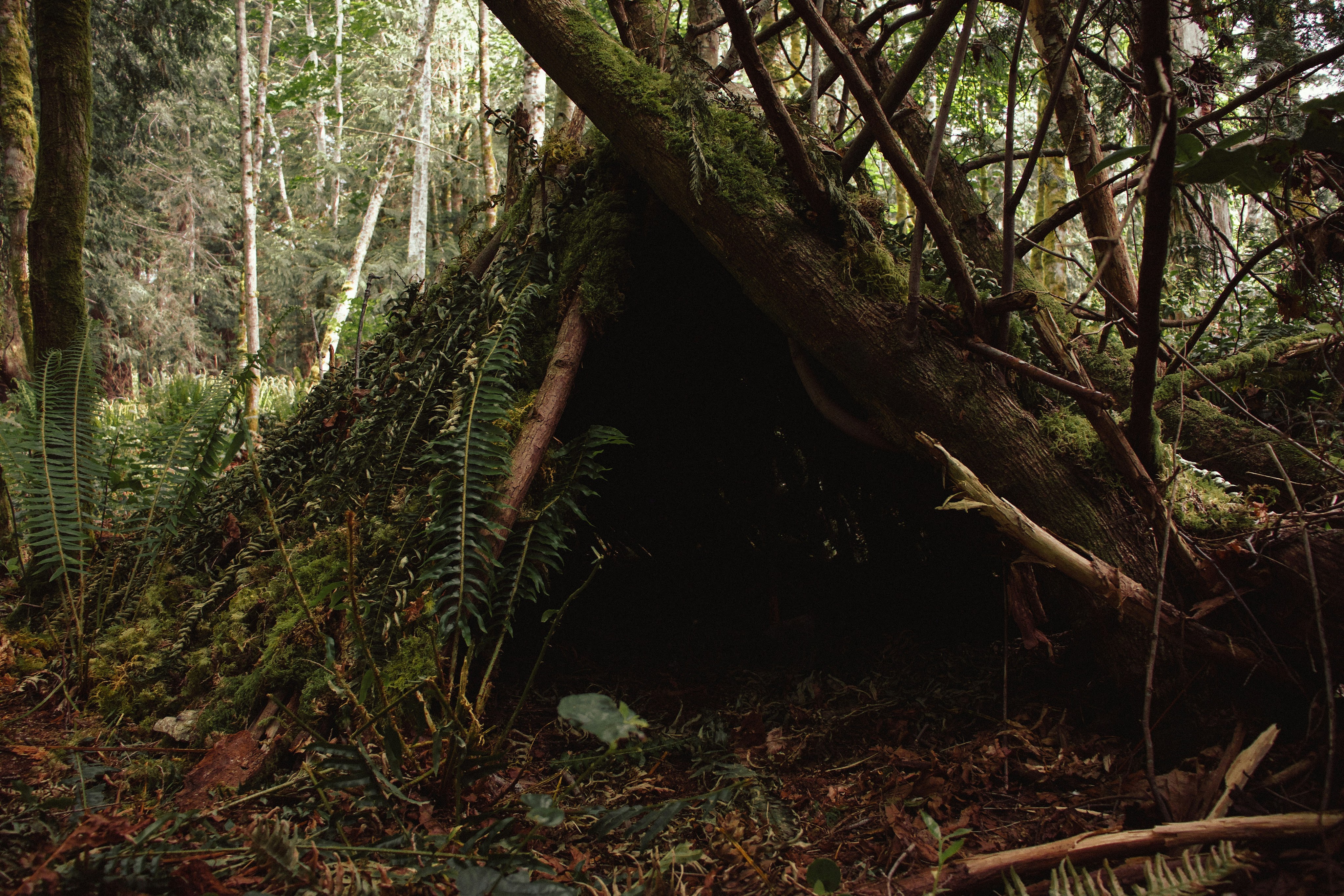 First Humans Home Hominin Homes – World of Paleoanthropology